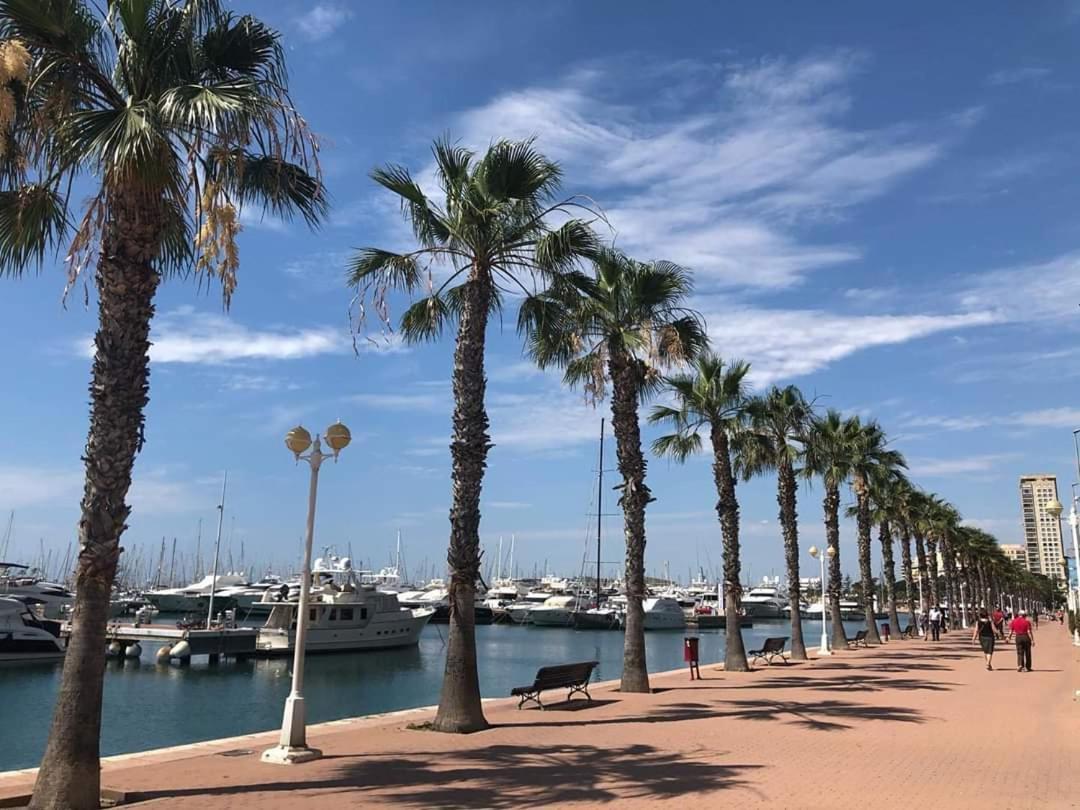 Casaturis Plaza Nueva En El Centro De Alicante A110 Bagian luar foto